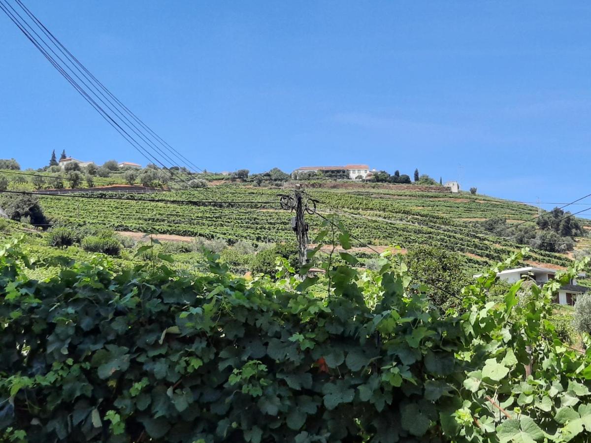 Casa Da Ruela No Rodo Leilighet Peso da Régua Eksteriør bilde